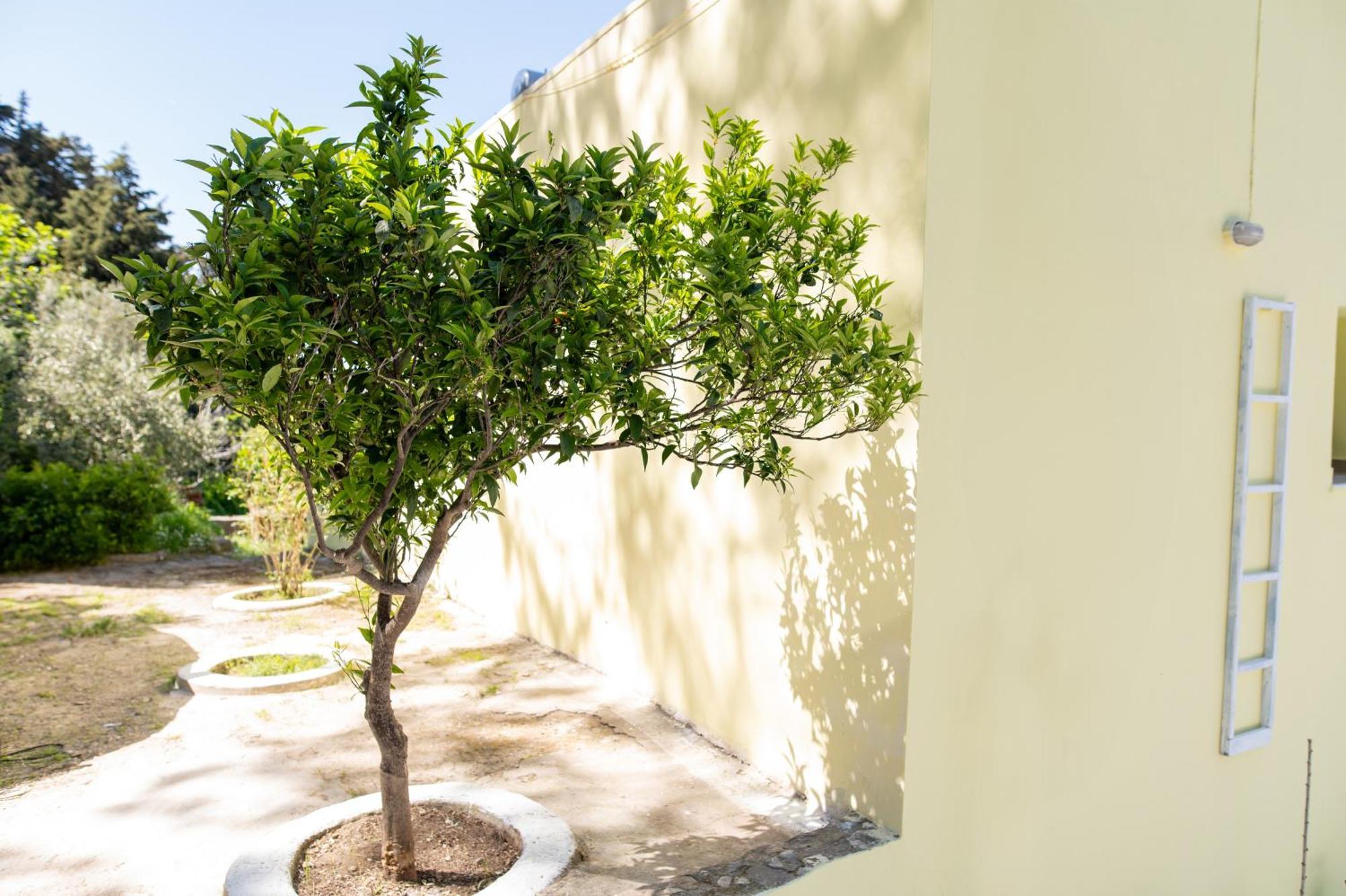 Villa La Casa A Zia Lagoudi Zia